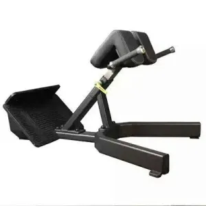 DHZ Hyper Extension Bench Evost Model E3062 [WS]