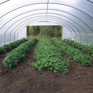 FarmTek GrowSpan Single Bay Tunnel Greenhouse | High Tunnel With Durable Steel Frame, UV-Resistant Film