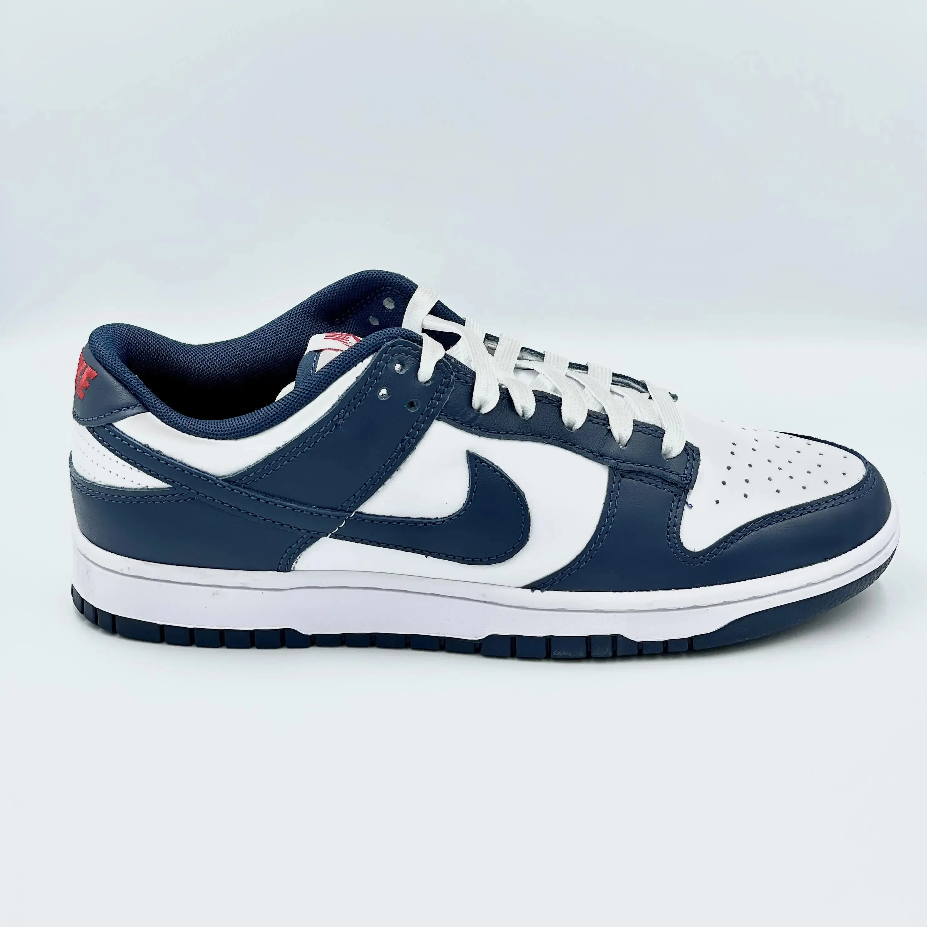 Nike Dunk Low Valerian Blue