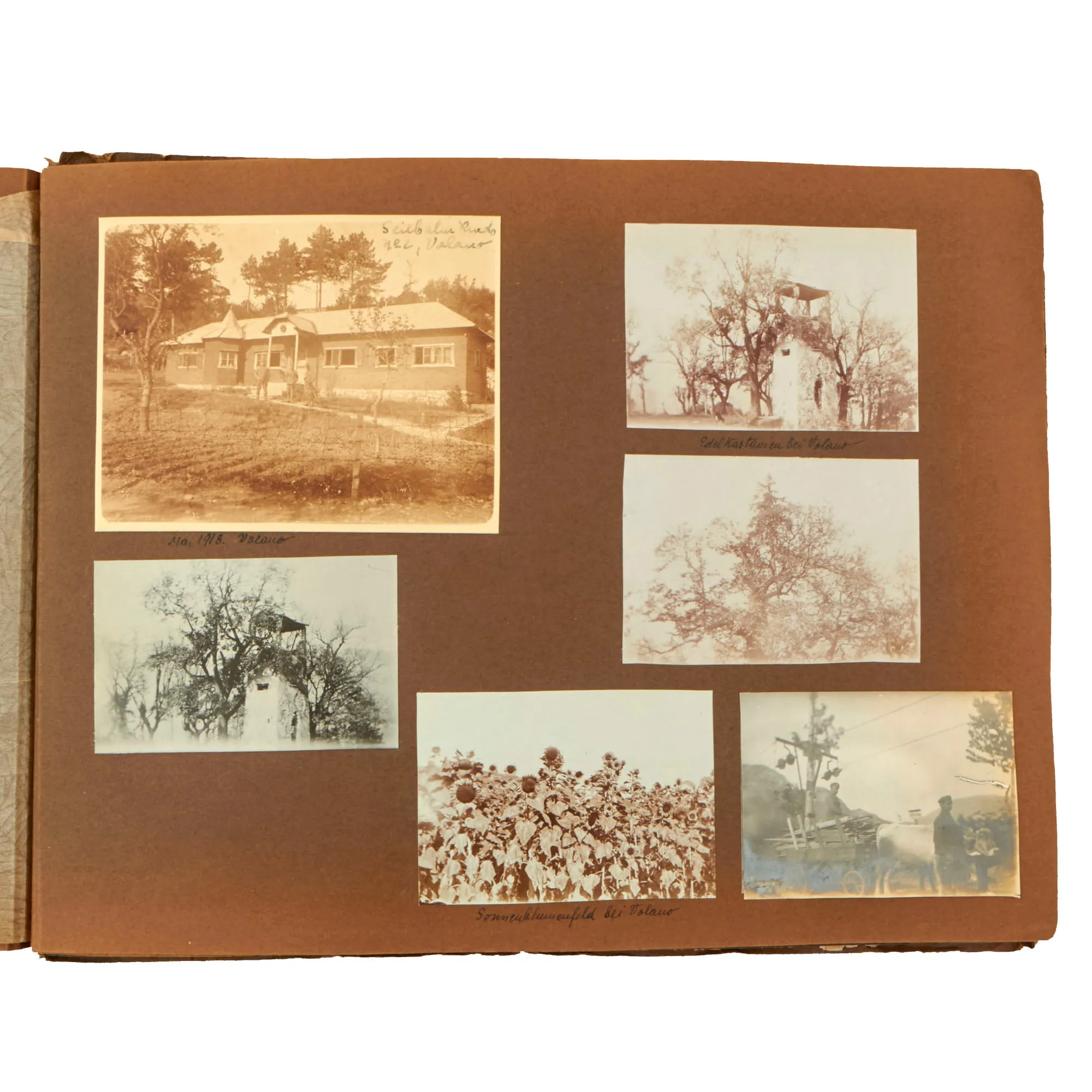 Original Austro-Hungarian WWI Exemplary Photo Album with Alpine Photographs and Extensive Handwritten Notes/Annotations and Service History - 209 Photos Total