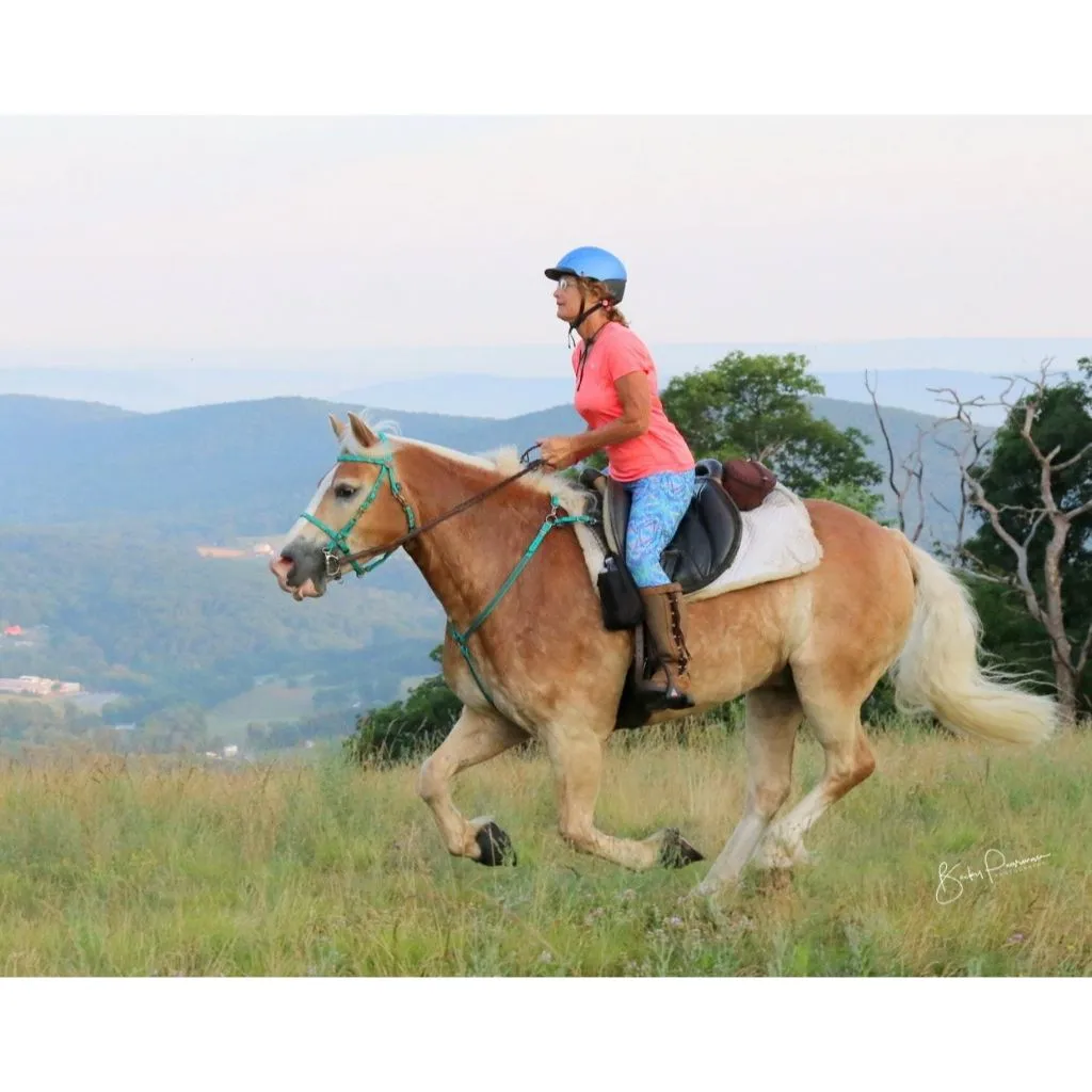 Traditional Hungarian All Around Saddle